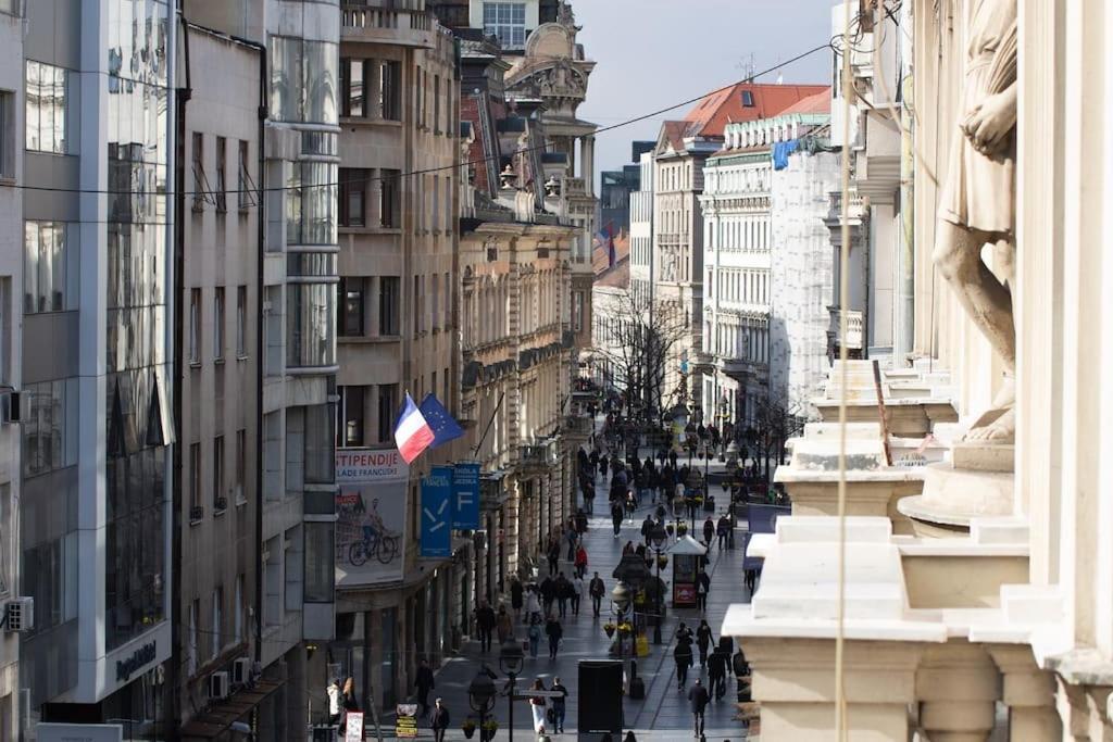 Knez *